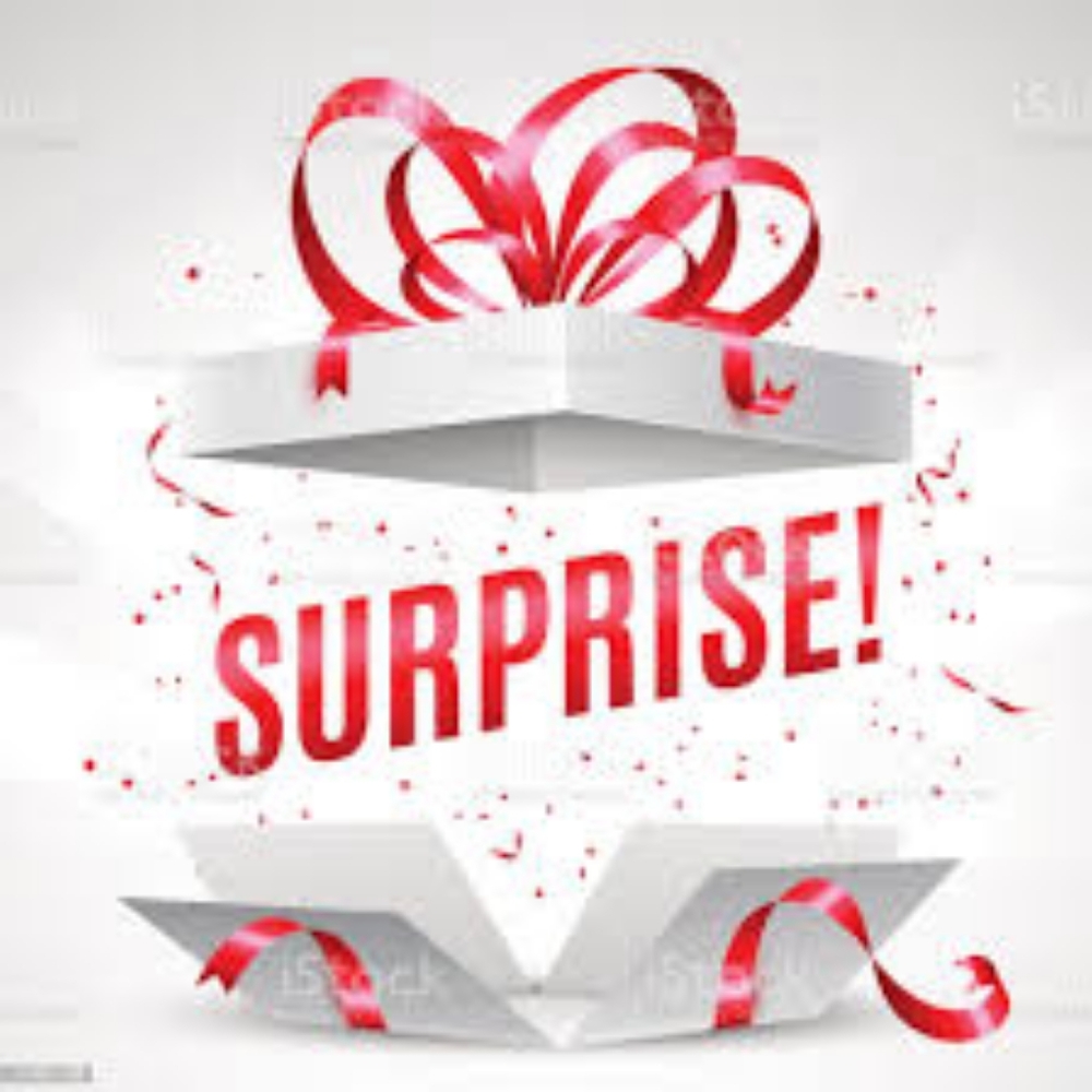 Large Fashion Nova Mystery Clothing Bundle